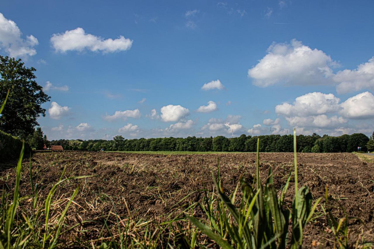 De Lammersdamhoeve Casa de Férias Wingene