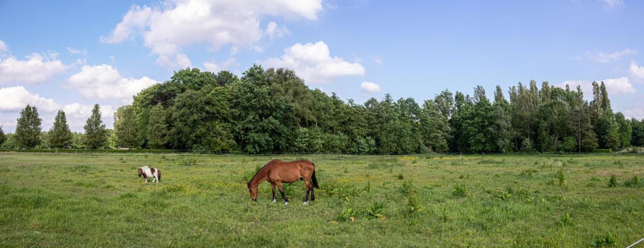 De Lammersdamhoeve *
